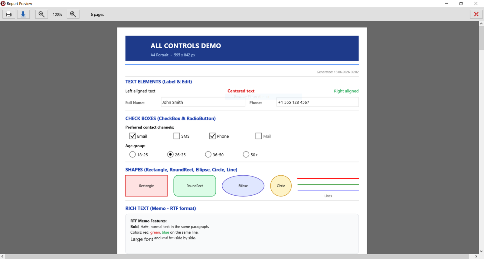 Built-in paged, zoomable report preview